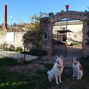 3* Bed & Breakfast Mas Del Llop Blanc - Dog Friendly Rural -